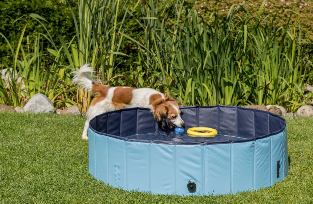 TRIXIE Hondenzwembad blauw 160 cm